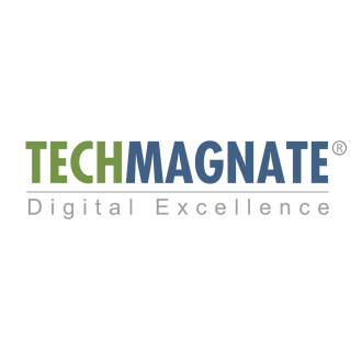 Techmagnate: Best SEO Company in India